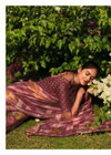 Dunki Vol 2 By Kashvi Rimijim Silk Designer Sarees Wholesale Market In Surat